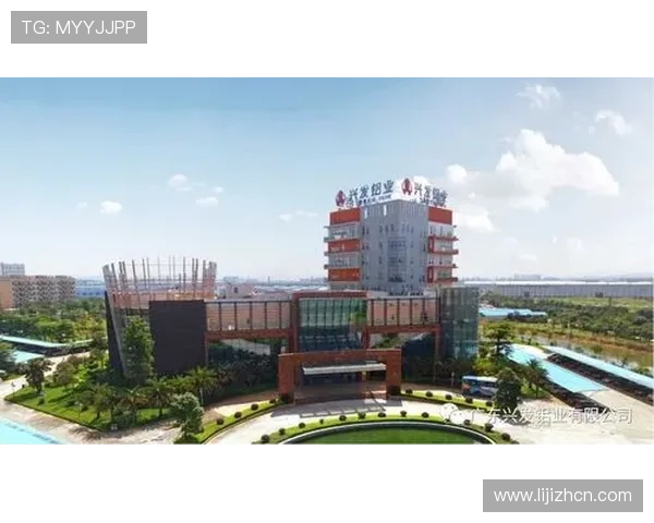 兴发国际游戏:用户评价与行业专家对平台信誉与服务质量的综合评估 兴发国际游戏:用户评价与行业专家对平台信誉与服务质量的综合评估