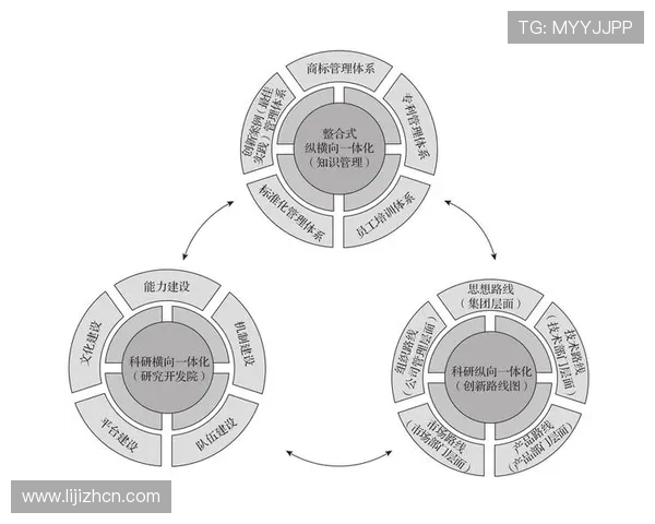 欧博管理流程在企业中的应用与创新探索