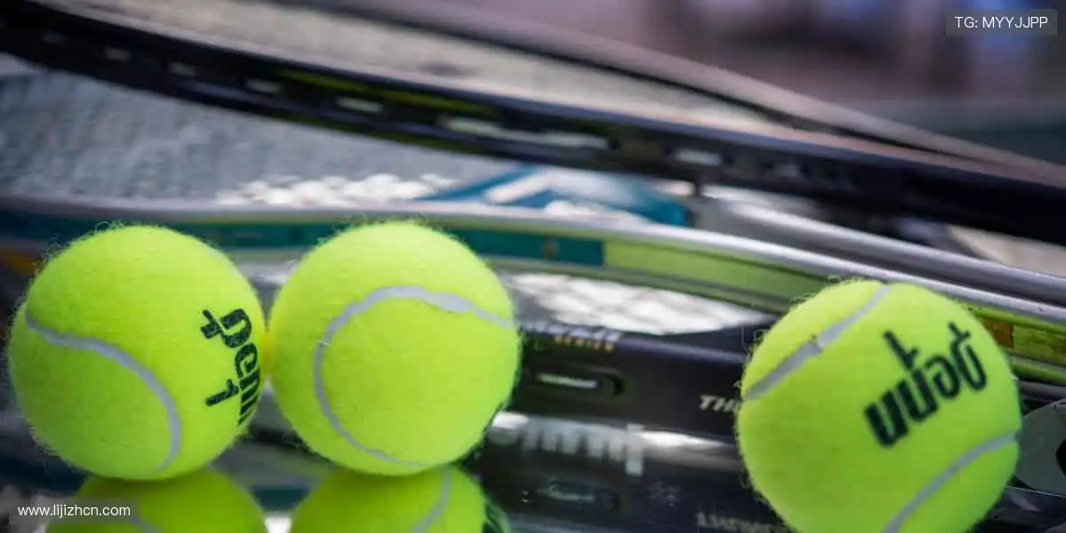 二十一点扑克对战：要牌停牌心理博弈，挑战庄家赢取黑杰克